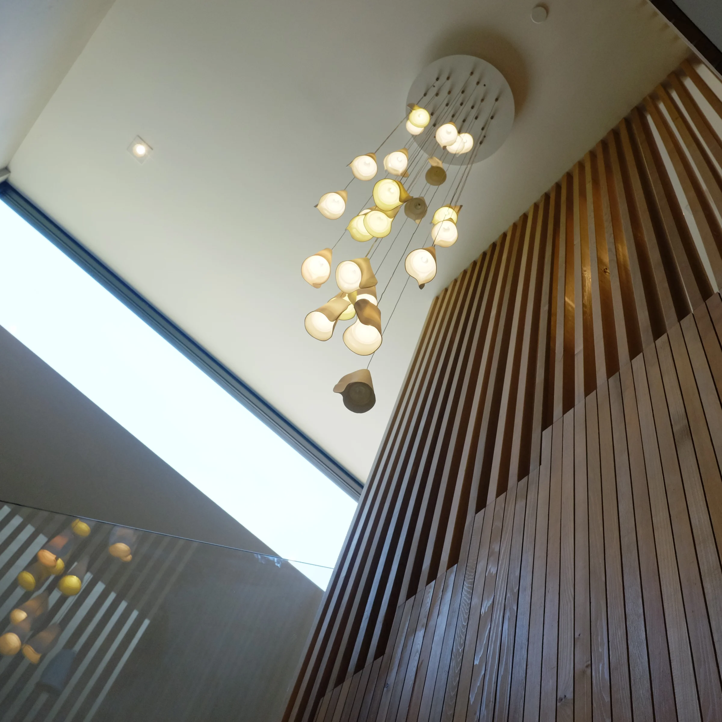 Hollywood — photo 22